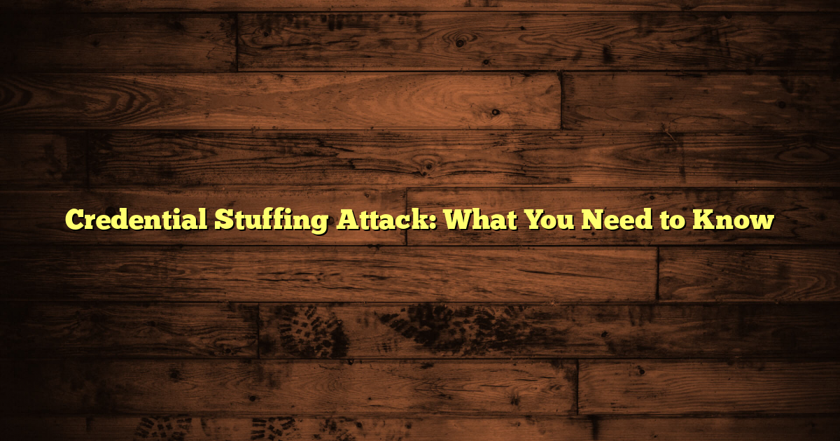 Credential Stuffing Attack: What You Need to Know