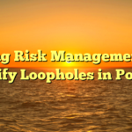 Using Risk Management to Identify Loopholes in Policies