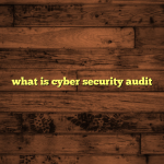 what is cyber security audit