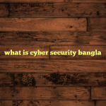 what is cyber security bangla