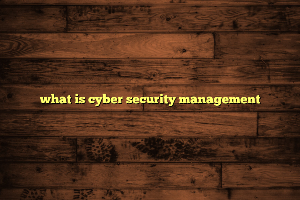 what is cyber security management