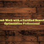 9jaoncloud: Work with a Certified Search Engine Optimization Professional