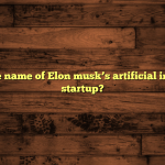 what is the name of Elon musk’s artificial intelligence startup?