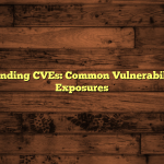 Understanding CVEs: Common Vulnerabilities and Exposures